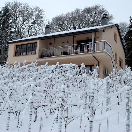 Lontzen Casavitis Erholung Am Weinberg 아파트 외부 사진