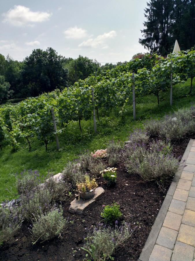 Lontzen Casavitis Erholung Am Weinberg 아파트 외부 사진