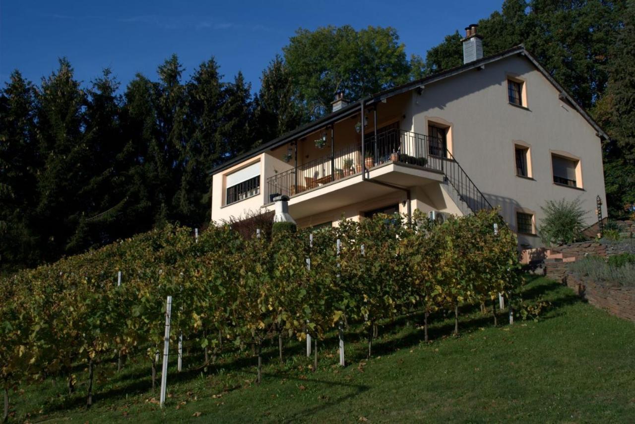 Lontzen Casavitis Erholung Am Weinberg 아파트 외부 사진